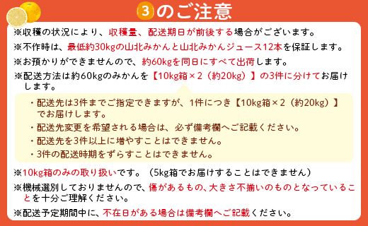 収穫後、山北みかん（露地・無選別）約６０㎏お届け！山北みかんの木のオーナー制度 - 果物 フルーツ 柑橘類 みかん ミカン 蜜柑 数量限定 高知県 香南市 yk-0036