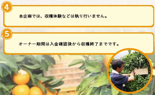 収穫後、山北みかん（露地・無選別）約６０㎏お届け！山北みかんの木のオーナー制度 - 果物 フルーツ 柑橘類 みかん ミカン 蜜柑 数量限定 高知県 香南市 yk-0036