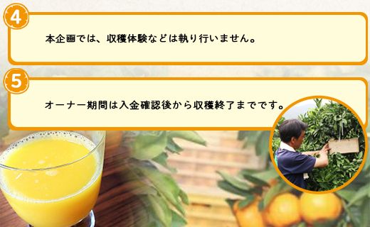 収穫後、山北みかん（露地・無選別）約４０㎏と山北みかんジュース１２本をお届け！山北みかんの木のオーナー制度 - 果物 フルーツ 柑橘類 みかん ミカン 蜜柑 数量限定 高知県 香南市 yk-0037