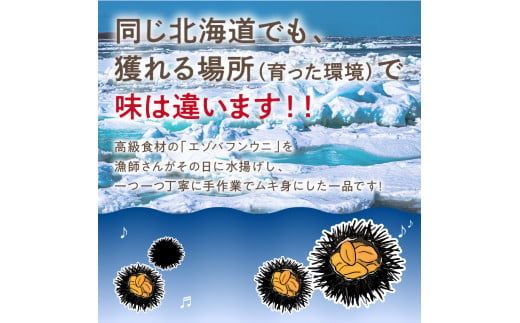 【予約：2025年4月中旬から順次発送】サロマ湖産 塩水生うに ( 海鮮 雲丹 うに ウニ 塩水 生ウニ 生うに ウニ丼 エゾバフンウニ ムキ身 高級 1パック 期間限定 )【114-0006-2025】