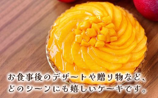 【2026年6月中旬〜発送】【舌にあふれる季節感♪こだわりのサクサクタルト】完熟マンゴーのタルト / 南島原市 / アトリエジジ [SAA009]