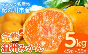 【先行予約】完熟 温州みかん 約5kg (45~55玉) こだまファーム《10月中旬-2月中旬頃出荷》 和歌山県 紀の川市 みかん ミカン 果物 フルーツ---wsk_kdf7_10c2c_25_12000_5kg---