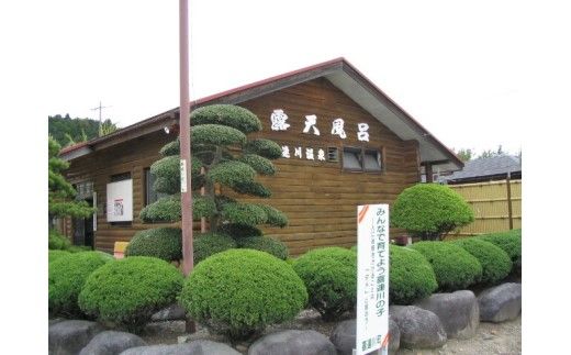 日本三大美肌の湯　市営露天風呂回数券（11回分）