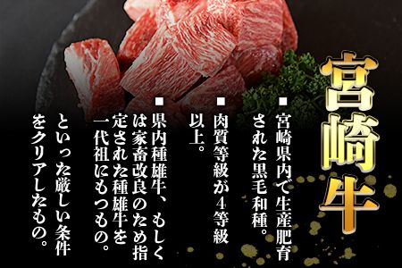 ＜訳あり！宮崎牛赤身サイコロステーキ 500g＞翌月末迄に順次出荷【b0551_ty】