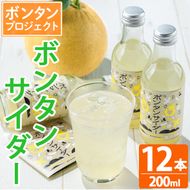 ボンタンサイダー(12本)一つ一つ手作業で皮を剥き、果汁をしぼり仕上げました！ぼんたん ボンタン 文旦 サイダー ジュース 飲み物 飲料 果汁 フルーツ 果物 炭酸【ボンタンプロジェクト】a-16-11-z