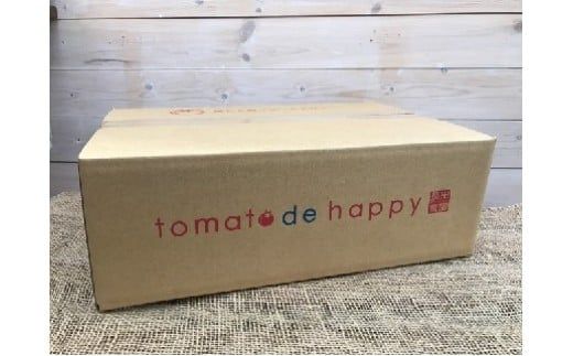 1月～6月毎月発送　プレミアムフルーツトマトの定期便　6回コース　H004-163