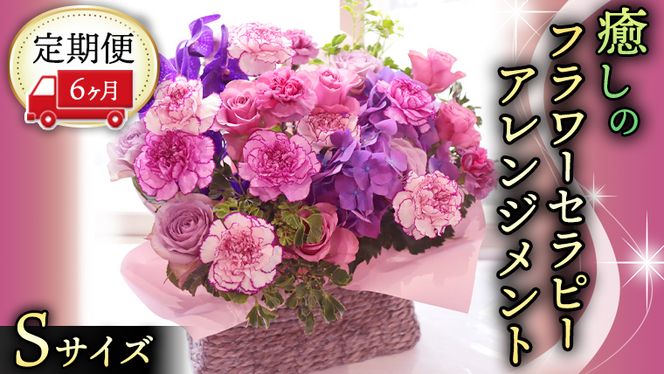 y錧}szy 6  z   t[ Zs[ AWg STCY   ͂ AW bNX tbV XgX [CT121ci]