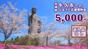 【 返礼品なし 】 茨城県 牛久市 ふるさと応援寄附金 ( 5,000円 ) [ZZ003us]