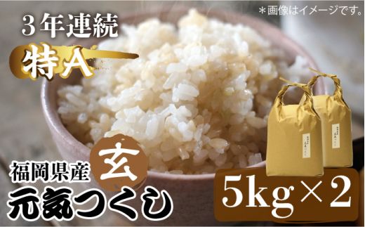 [先行予約]福岡県産[特A]評価のお米「元気つくし」5kg×2袋 [10kg] [玄米][2024年11月下旬以降順次発送][築上町][株式会社ベネフィス][ABDF031]