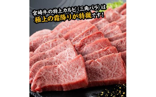 宮崎牛 特上カルビ 焼肉用 （三角バラ） 合計600g【 肉 牛肉 国産 宮崎県産 黒毛和牛 特上 カルビ 】[D11420]