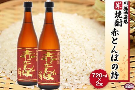 ＜川越酒造場　米焼酎「赤とんぼの詩」720ml×2本＞翌月末迄に順次出荷【a0269_yu_x1】