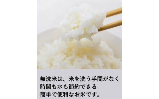 無洗米 コシヒカリ 300g ×10【真空包装】[お米食堂 富山県 舟橋村 57050236] こしひかり お米 米 こめ コメ 白米 精米 ごはん 備蓄 長期保存 3kg 3キロ