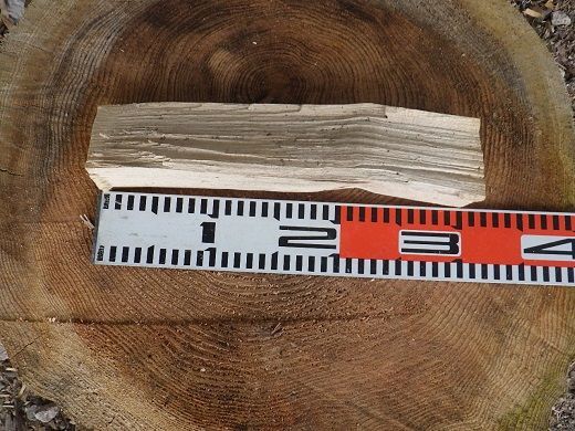 1B13「きこりの薪」B金時山セット　ミックス広葉樹