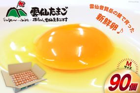 BI027 たっぷり！ 雲仙たまごMサイズ 90個(85個＋割れ補償5個入り) [ 卵 たまご 生卵 鶏卵 赤卵 玉子 新鮮 塚ちゃん雲仙たまご村 長崎県 島原市 ]