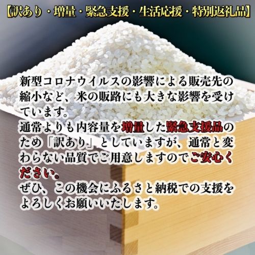 【定期便】令和5年産 米 10kg 3ヶ月 京都丹波産 コシヒカリ 白米＜JA京都 たわわ朝霧＞ 3回定期便 10kg（5kg×2袋）×3回 計30kg 毎月発送に合わせて精米≪緊急支援品 ふるさと納税 訳あり≫