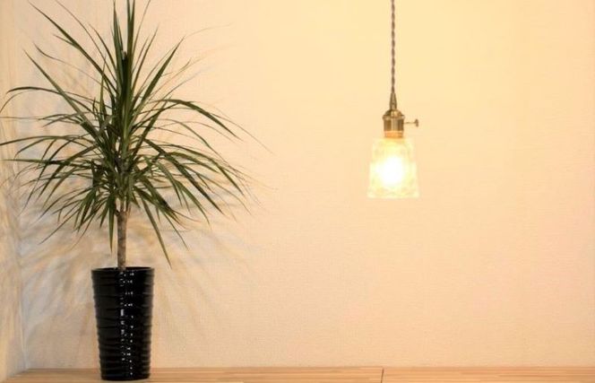 015B158 くりすたるらいと（クリア）（電球別途）