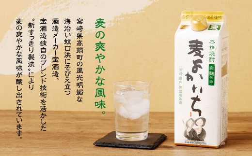 ＜宝酒造・本格焼酎「よかいち」(麦)25度 900ml 紙パック3本セット＞翌月末迄に順次出荷【c1109_kt】