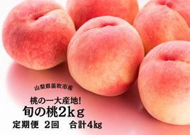 ＜2025年発送＞笛吹市産旬の桃満喫コース2kg×2回発送 167-009