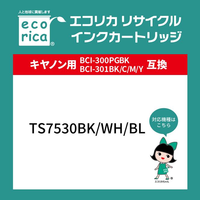  エコリカ【キヤノン用】BCI-301+300/5MP 互換リサイクルインク  5色パック（型番： ECI-C301-5P）再生インク　プリンタ