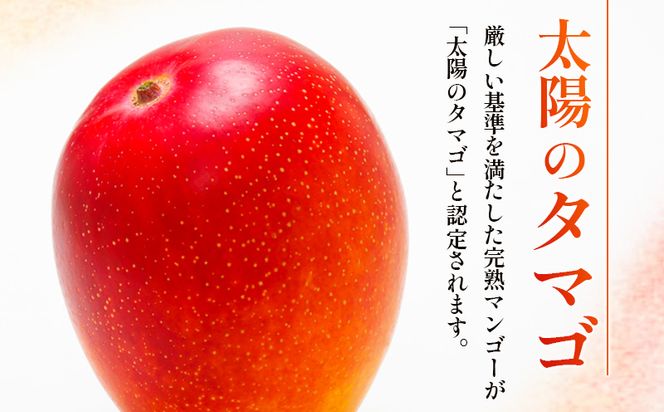 宮崎特産品　宮崎県産完熟マンゴー　太陽のタマゴ　2L×1個_M275-003