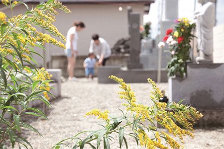 y茧szAA068S߂Ėグ@|v