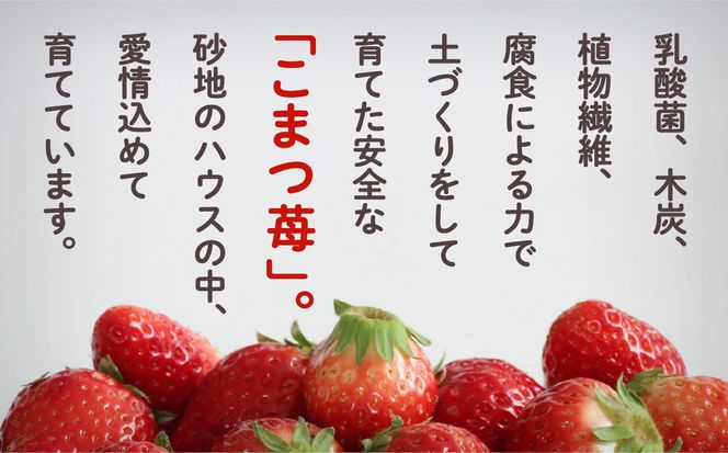 こまつイチゴ（紅ほっぺ）JA小松市 009053