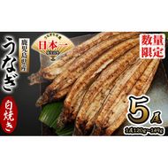 鹿児島県産 伊崎田のうなぎ白焼き ＜120g以上＞× 5尾(計600g以上) b7-005