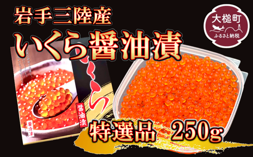 y茧ƒzOY 嗱 ݖ 250g×1 [0tsuchi00641]