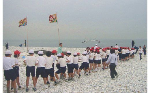 099H105 海鮮バーベキュー＆地引網漁業体験（５０名）