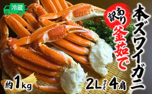 [先行予約][訳あり 釜茹で 本ズワイガニ 2L 4肩 約1kg 冷蔵]令和7年9月中旬以降、順次発送予定 カニの本場 ずわいがに ふるさと納税 兵庫県 香美町 香住 日本海フーズ 07-119