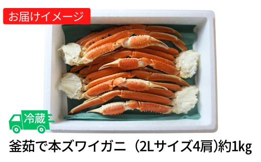 【訳あり 釜茹で 本ズワイガニ 2L 4肩 約1kg 冷蔵】鮮度や身入りなどを厳選した原料を使用 絶妙な塩加減で茹で上げます カニの本場 香住 大人気 ふるさと納税 香美町 香住漁港 香住港 ズワイガ