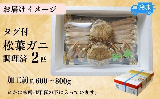 【訳あり･数量限定 兵庫県香住産 タグ付き松葉がに調理済み(2匹入り)】 発送目安：入金確認後、2～3週間以内の発送予定 食べやすく調理 少しだけ訳ありですが、大変お得な2匹入りセット商品 焼きガニ かに鍋 本場の松葉がにを召し上がりください 香住港 柴山港 日本海フーズ にしとも かに市場 07-38