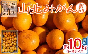 みかん 10kg 訳アリ 山北みかん 露地(Ｓ～Ｍ) Ｂ品 高橋農園 訳あり - 果物 フルーツ ミカン 蜜柑 柑橘 家庭用 自宅用 新鮮 農家直送 露地 th-0018