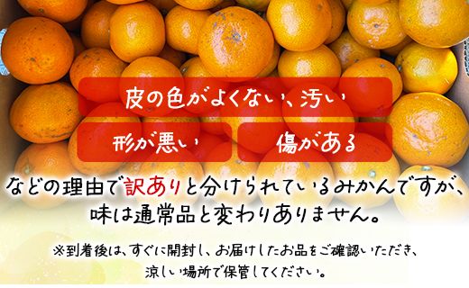 みかん 10kg 訳アリ 山北みかん 露地(Ｓ～Ｍ) Ｂ品 高橋農園 訳あり - 果物 フルーツ ミカン 蜜柑 柑橘 家庭用 自宅用 新鮮 農家直送 露地 th-0010