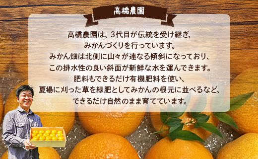 家庭用 山北みかん 露地(Ｓ～Ｍ)Ｂ品 15kg 高橋農園 - フルーツ 果物 くだもの 柑橘類 ミカン 蜜柑 Ｂ品 小傷あり 家庭用 季節限定 期間限定 新鮮 農家直送 露地栽培 高橋農園 高知県 香南市 th-0016