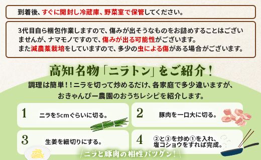 生産量日本一香南市のニラ 1kg - ニラ 香南市産 にら 朝採れ 産地直送 香味野菜 ニラ on-0010