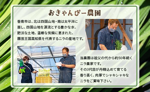 生産量日本一香南市のニラ 2kg 3ヶ月定期便 合計6kg - ニラ 香南市産 にら 朝採れ 産地直送 香味野菜 ニラ Won-0017