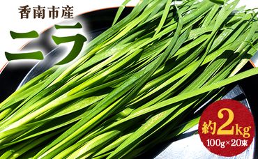 生産量日本一香南市のニラ 2kg - ニラ 香南市産 にら 朝採れ 産地直送 香味野菜 ニラ on-0011