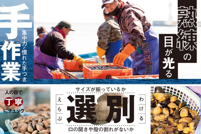 北海道 野付産 大粒 天然 活あさり 2kg前後【UY0000003】（北海道 別海町 あさり アサリ 貝 大粒 ふるさと納税）