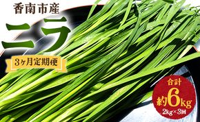 生産量日本一香南市のニラ 2kg 3ヶ月定期便 合計6kg - ニラ 香南市産 にら 朝採れ 産地直送 香味野菜 ニラ Won-0017