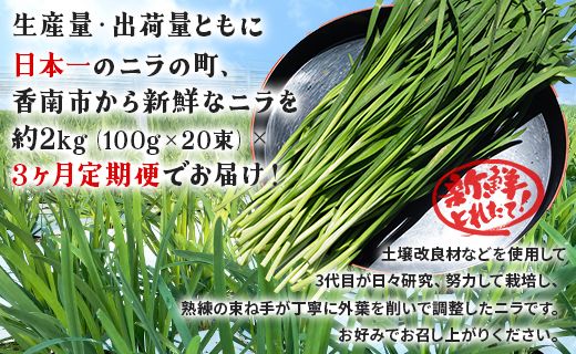 生産量日本一香南市のニラ 2kg 3ヶ月定期便 合計6kg - ニラ 香南市産 にら 朝採れ 産地直送 香味野菜 ニラ Won-0017