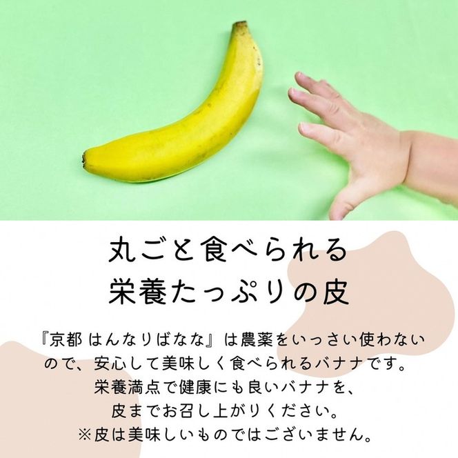 先行予約 国産バナナ 5本セット 皮まで食べられる 『京都はんなり