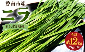 生産量日本一香南市のニラ 2kg 6ヶ月定期便 合計12kg - ニラ 香南市産 にら 朝採れ 産地直送 香味野菜 ニラ Won-0018