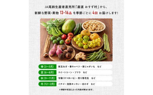 野菜 【定期便】産直おすず村 季節の野菜と果物 厳選 詰め合わせセット（大）【 旬野菜 フルーツ 直売所 産地直送 宮崎県産 】☆[G3804]