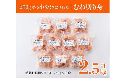 【６ヶ月定期便】宮崎県産若鶏むね切身 計2.5Kg（250g×10袋） [D00707t6]