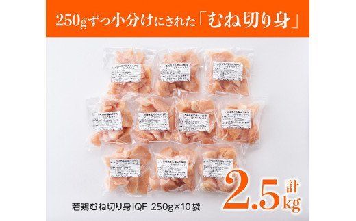 宮崎県産若鶏ムネ切身IQF 2.5kg (250ｇ×10袋) 肉 鶏 鶏肉 [F0716]