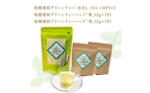 【3ヶ月定期便】「ホッ」とティータイム ( ごぼう茶 グリーンティー ハーブティー ごぼう ゴボウ お茶 和種薄荷 ハッカ 薄荷 ブレンドハーブ )【999-0046】