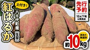 【 先行予約 2024年10月下旬以降発送 】訳あり 茨城 八千代町産 さつまいも 紅はるか 土付き 無選別 生芋 約 10kg 農家直送 熟成 べにはるか イモ 芋 いも おやつ [AX034ya]