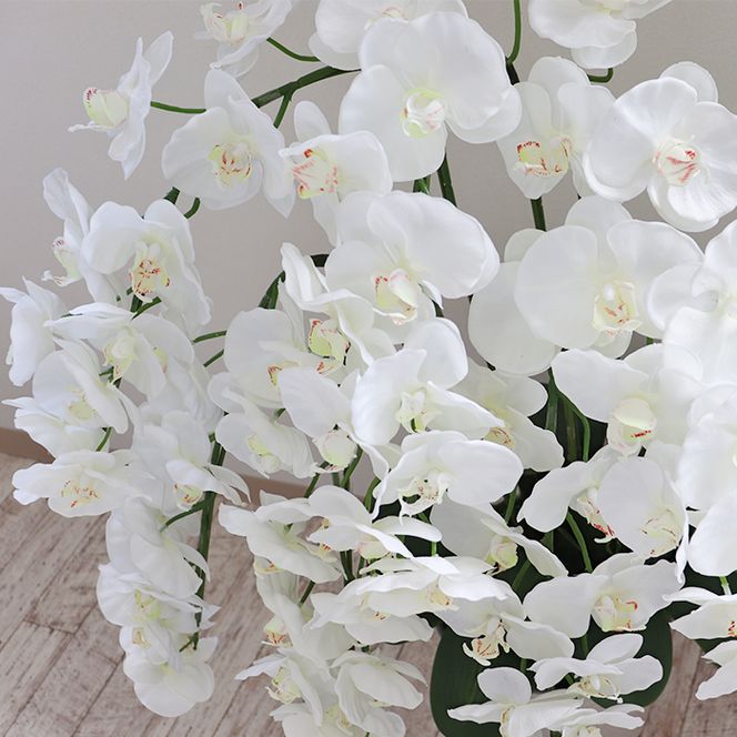 BH-1a 【造花】胡蝶蘭 7本立