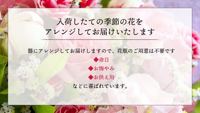 【定期便12ヶ月】 毎月届く 仏花 アレンジメント Sサイズ 花 生花 1年間 お供え 命日 月命日 定期便 [CT067ci]